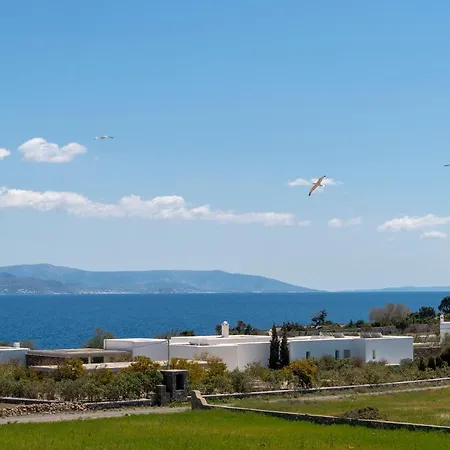 Grekon Sun Paros * Ambelas